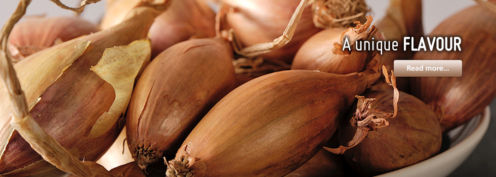 Shallots, a unique flavour