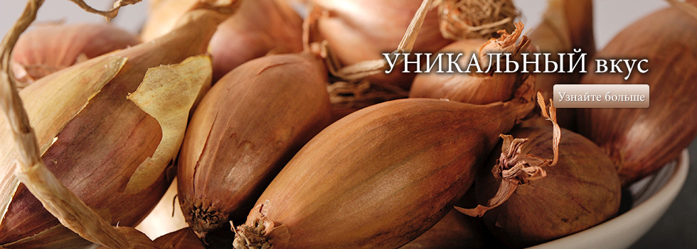 Лук-шалот – уникальный вкус